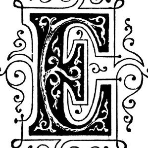 Meet your Posher, Ernie